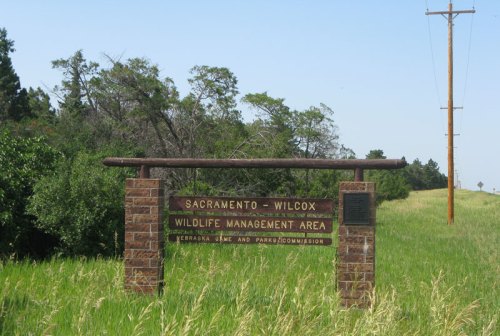 Sign for Sacramento-Wilcox Wildlife Management Area, surrounded by tall grass and trees, with a power line in the background.