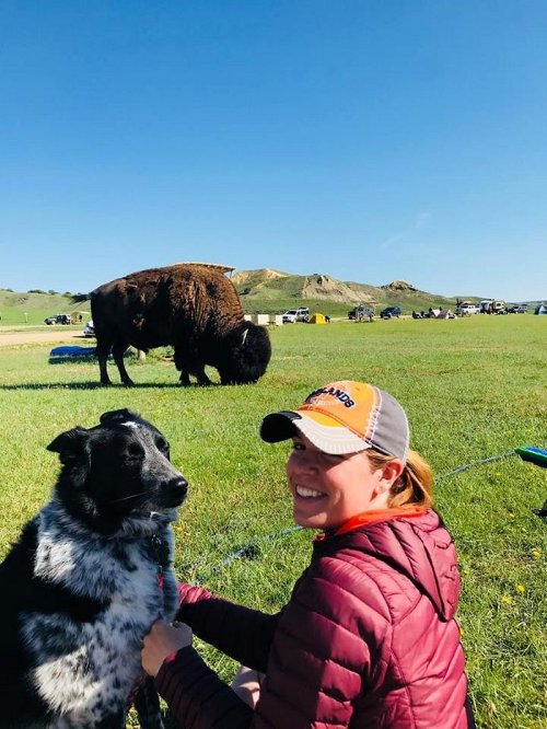 A woman smiles while sitting on grass with a dog, as a buffalo grazes nearby under a clear blue sky.