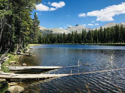 A serene lake surrounded by trees and mountains under a clear blue sky with fluffy clouds.