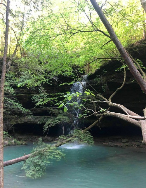 A serene waterfall cascades into a turquoise pool, surrounded by lush green trees and rocky cliffs.