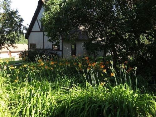 A lush garden with orange flowers in front of a quaint house surrounded by trees and greenery.