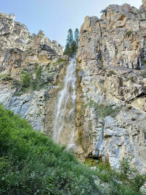 A cascading waterfall flows down rocky cliffs, surrounded by lush greenery and tall trees.