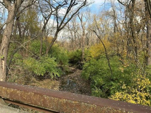 A serene view of a wooded area with a small creek, surrounded by trees in autumn colors and a rusty railing in the foreground.