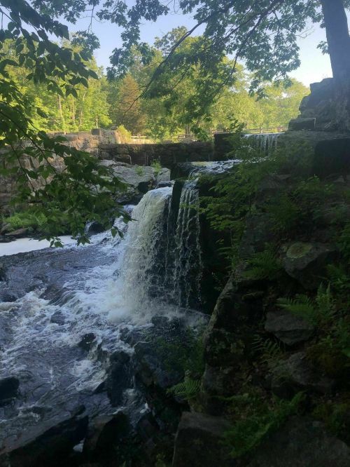 A serene waterfall cascading over rocks, surrounded by lush greenery and trees in a peaceful natural setting.