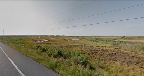 A wide view of a marshy landscape beside a road, featuring tall grasses and small water pools under a clear sky.