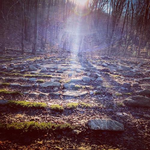 A serene forest scene with a stone labyrinth surrounded by trees, illuminated by soft sunlight filtering through.