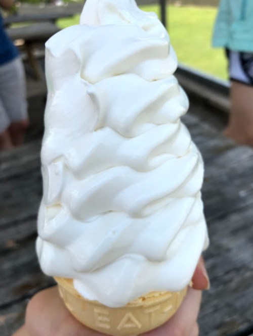 A hand holding a large swirl of soft-serve ice cream in a cone, set against a blurred outdoor background.