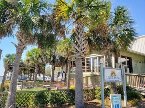 A sunny view of palm trees in front of a building with a sign for "Sunset Pointe" and reserved parking.