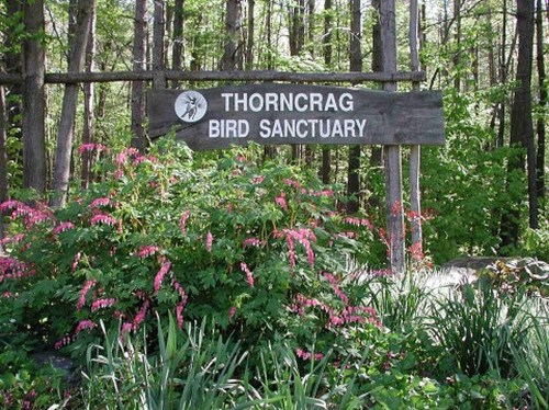 Sign for Thorncrag Bird Sanctuary surrounded by lush greenery and colorful flowers.