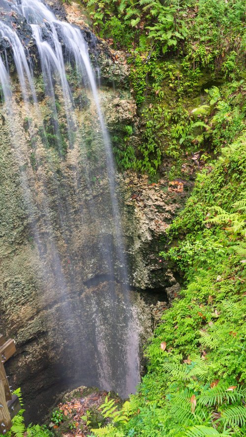A serene waterfall cascading over rocky terrain, surrounded by lush green ferns and foliage.