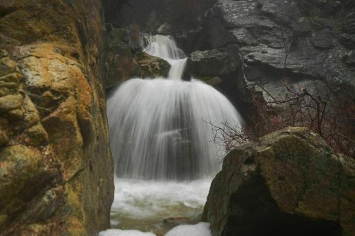 A serene waterfall cascades over rocks, surrounded by mist and bare branches in a tranquil, natural setting.