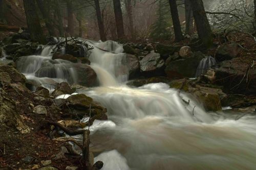 A serene stream flows over rocks in a misty forest, surrounded by trees and soft, muted colors.