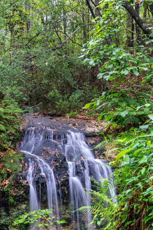 A serene waterfall cascades over rocks, surrounded by lush green foliage in a tranquil forest setting.