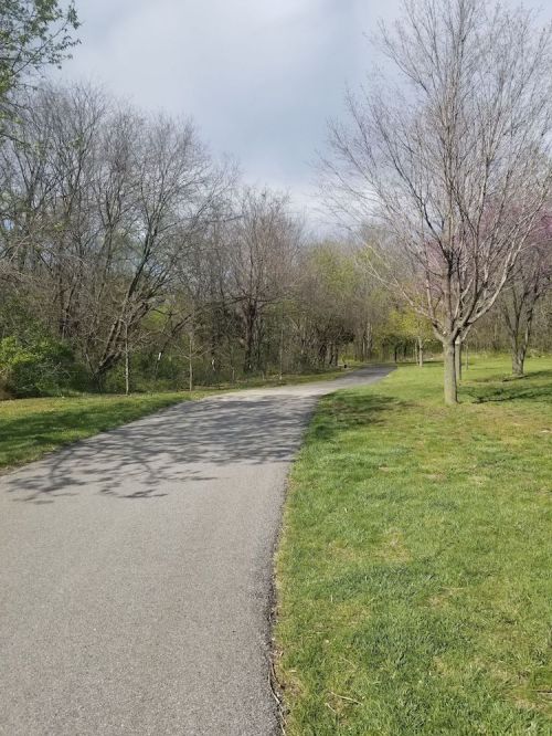 A winding path through a park, lined with bare trees and patches of green grass under a cloudy sky.
