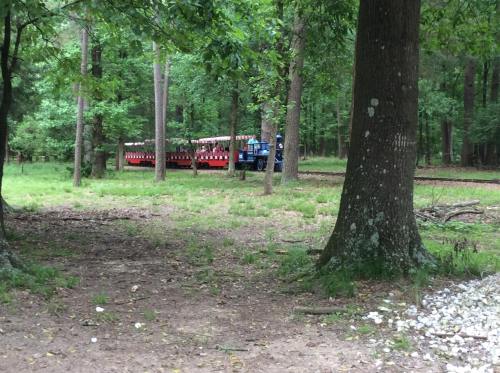 A blue train with red cars is seen in a wooded area, surrounded by trees and greenery.