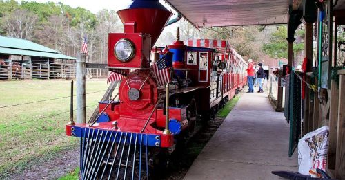 A colorful red train with flags parked beside a walkway, surrounded by trees and people in a rustic setting.