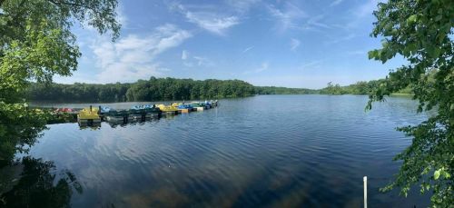 A serene lake scene with colorful paddle boats lined up at the shore, surrounded by lush greenery and a clear blue sky.