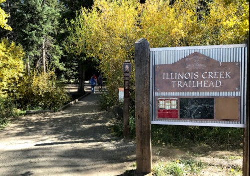 Sign for Illinois Creek Trailhead with a path leading into a forested area, surrounded by autumn foliage.
