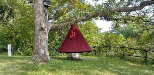 A red tent-like structure hangs from a tree branch in a green, wooded area. A birdhouse is visible nearby.