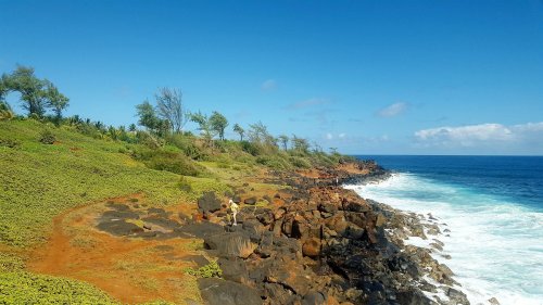 A rocky coastline with lush greenery and a clear blue sky, waves crashing against the shore.