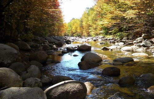 A serene river flows through a rocky landscape, surrounded by vibrant autumn foliage and sunlight filtering through trees.