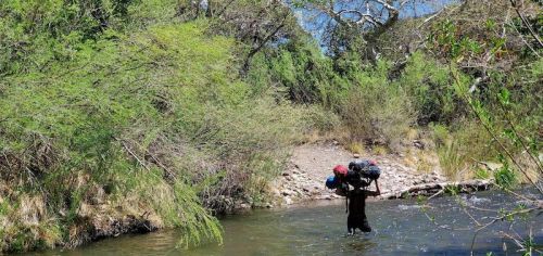 A person wades through a river, carrying heavy bags on their back, surrounded by lush greenery and trees.