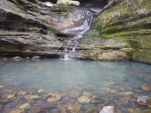 A serene waterfall cascading over mossy rocks into a clear pool surrounded by natural greenery.