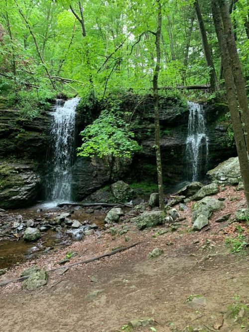 A serene forest scene featuring two waterfalls cascading over rocky terrain, surrounded by lush green trees.