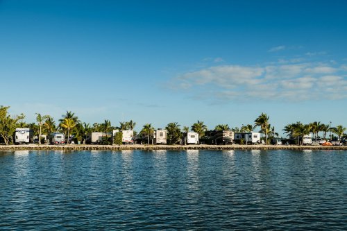 A row of RVs lined up by a calm waterway, surrounded by palm trees under a clear blue sky.