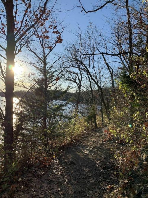 A sunlit path through trees by a lake, with autumn leaves and a clear blue sky.