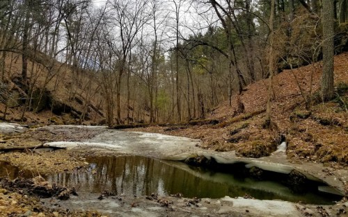 A serene forest scene with a partially frozen stream, bare trees, and fallen leaves on the ground.