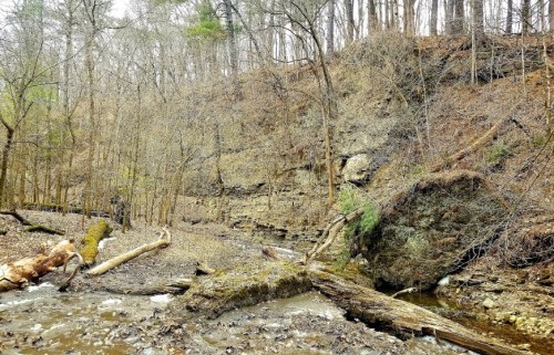 A rocky hillside with bare trees and a small stream running through a forested area in early spring.