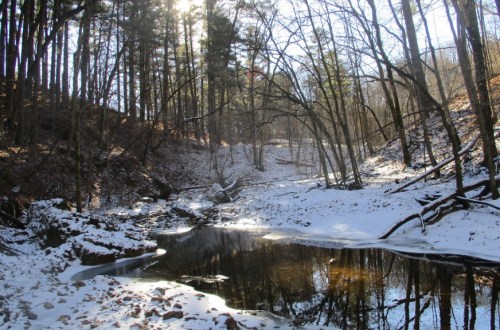 A serene winter landscape featuring a frozen stream surrounded by snow-covered trees and a bright sunlit background.