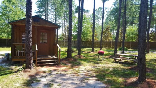 A small wooden cabin surrounded by tall trees, with a picnic table and grill nearby in a sunny outdoor setting.
