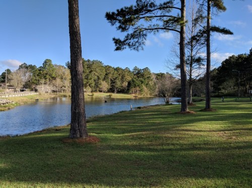 A serene landscape featuring a calm lake surrounded by trees and lush green grass under a clear blue sky.