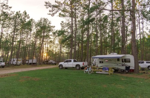 A campsite in a forest with RVs, trucks, and a bicycle, surrounded by tall trees and a sunset in the background.