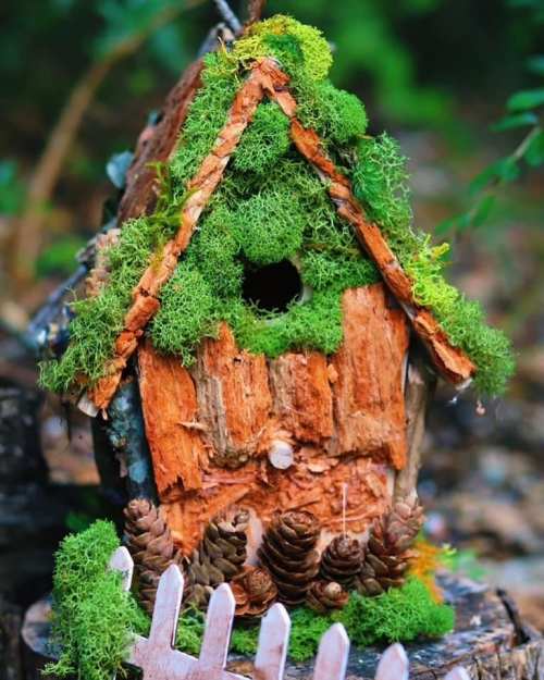 A charming birdhouse made of wood and moss, adorned with pinecones and surrounded by greenery.