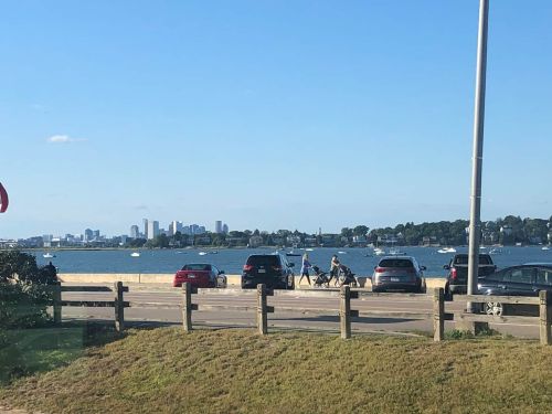 View of a waterfront with cars parked along the road, city skyline in the background, and people walking by the water.