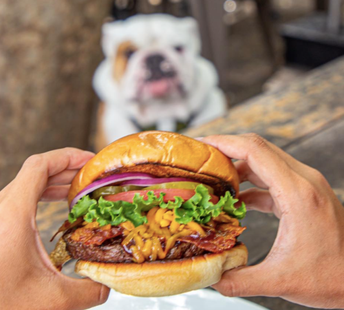 A person holds a loaded burger with lettuce, cheese, and onions, while a bulldog sits blurred in the background.