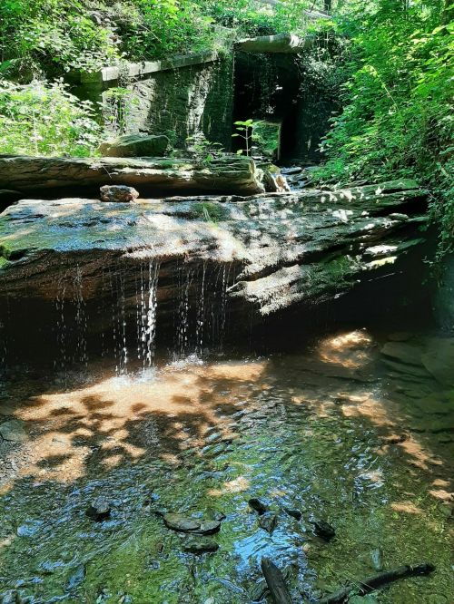 A serene stream flows over rocks, surrounded by lush greenery and dappled sunlight, with a stone structure in the background.