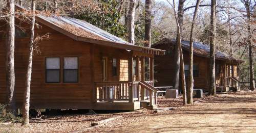 Three wooden cabins nestled among trees, with a dirt path and fallen leaves in a serene outdoor setting.