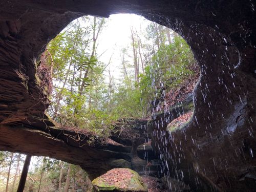 A view from inside a cave, showing a circular opening with trees and water droplets falling from above.