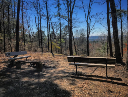 Two benches in a wooded area, surrounded by trees and a clear blue sky, with distant mountains visible in the background.