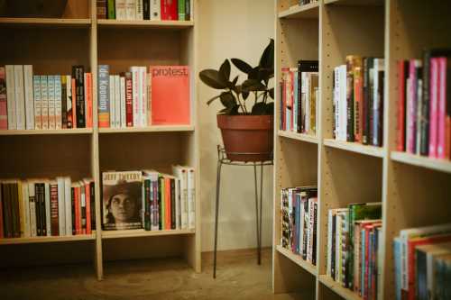 Bookshelves filled with various books, a potted plant on a stand in the center, creating a cozy reading space.