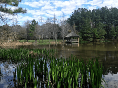 A serene pond surrounded by greenery, featuring a small gazebo and a cloudy blue sky in the background.