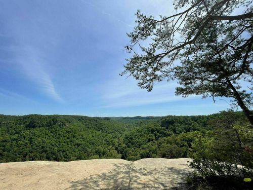 A panoramic view of lush green hills under a clear blue sky, framed by tree branches in the foreground.