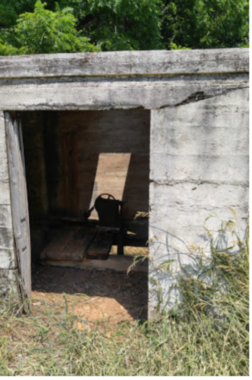 Abandoned structure with a wooden chair inside, surrounded by overgrown grass and trees.