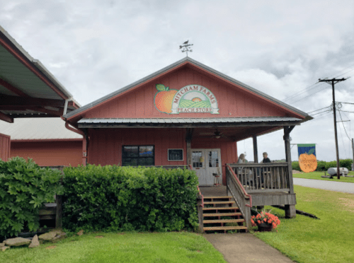 A rustic peach store with a sign, surrounded by greenery and a cloudy sky. People are visible near the entrance.