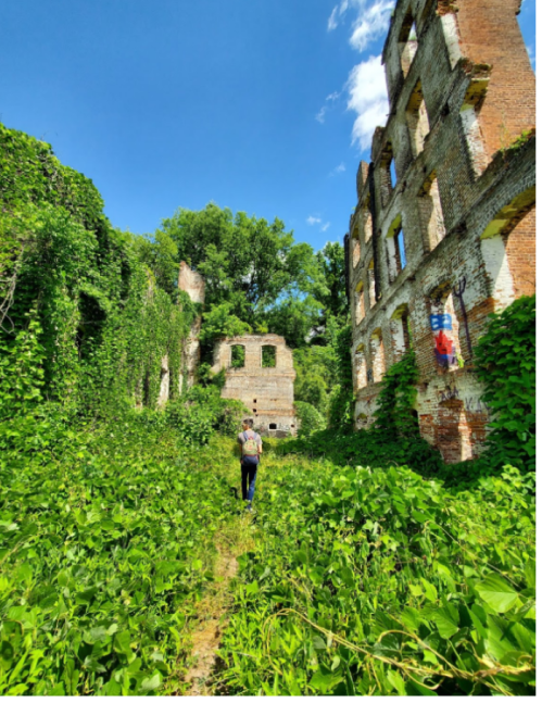 A person walks through overgrown ruins, surrounded by lush greenery and blue skies.
