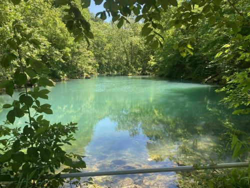 A serene, turquoise pond surrounded by lush green trees and foliage, reflecting the clear blue sky.
